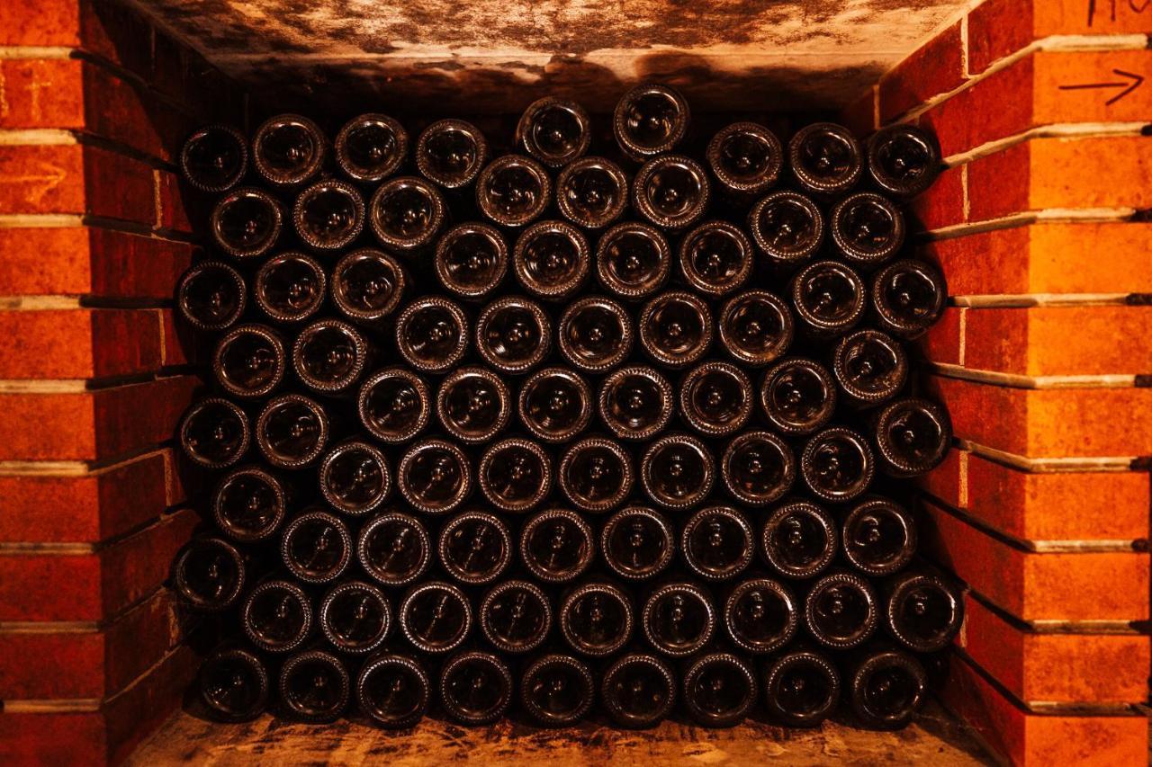 Wine Paradise Glavinic Miklavz pri Ormozu Dış mekan fotoğraf