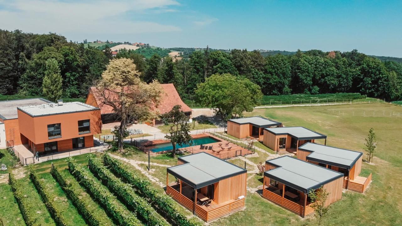 Wine Paradise Glavinic Miklavz pri Ormozu Dış mekan fotoğraf